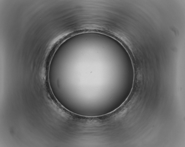 X0000110740979200906151100