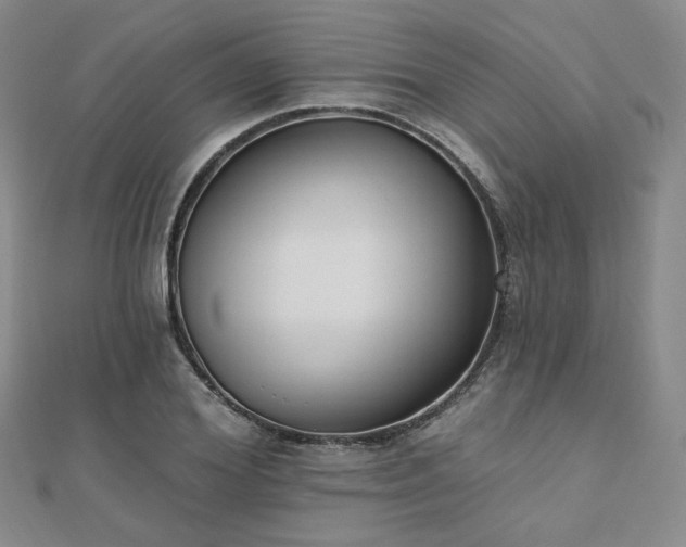 X0000110740980200906151100