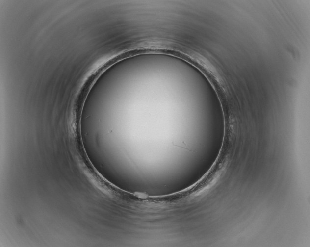 X0000110740981200906151100