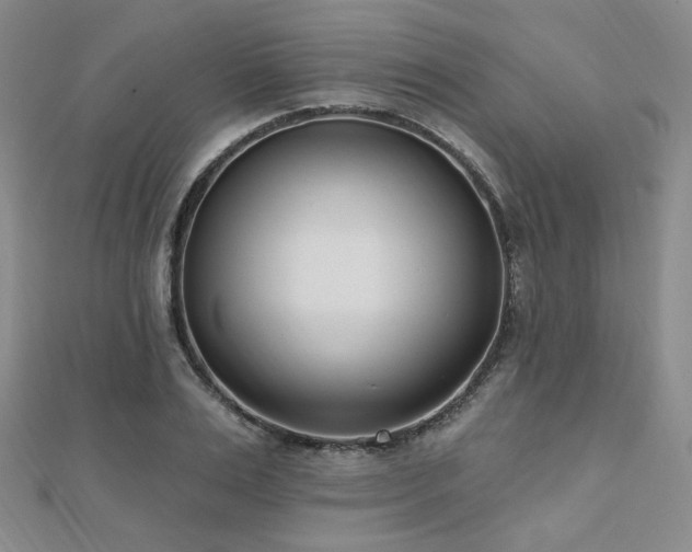 X0000110740983200906151100