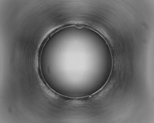 X0000110740984200906151100