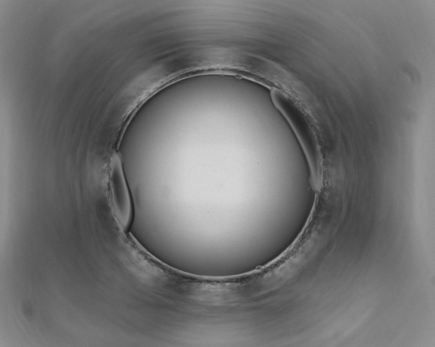 X0000110740985200906151100