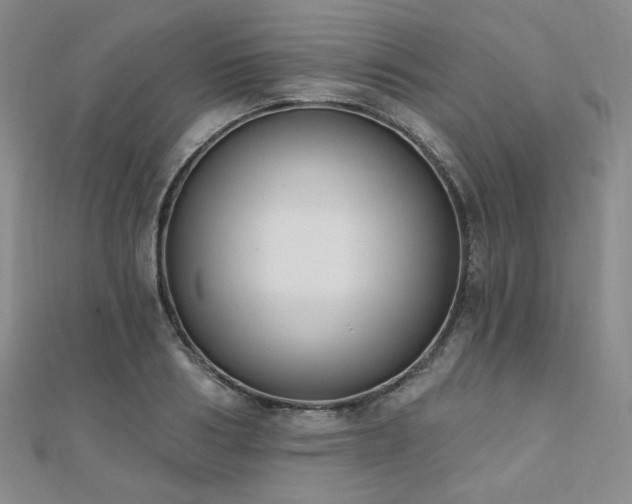 X0000110740986200906151100