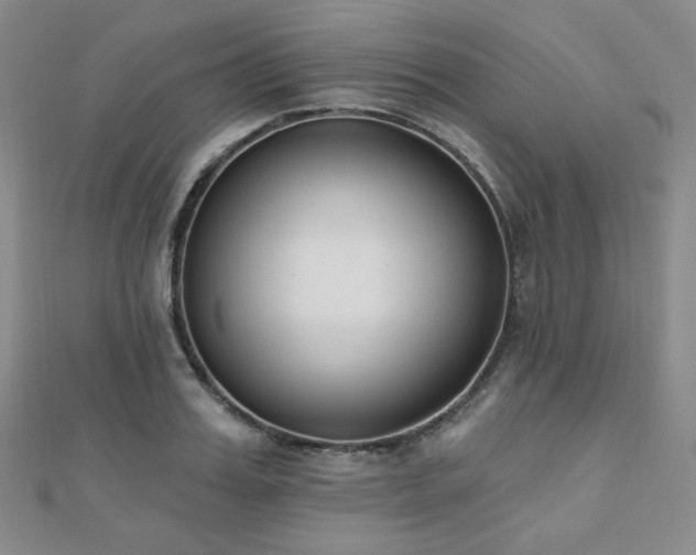 X0000110740987200906151100