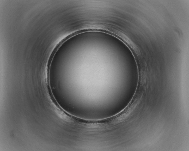 X0000110740988200906151100