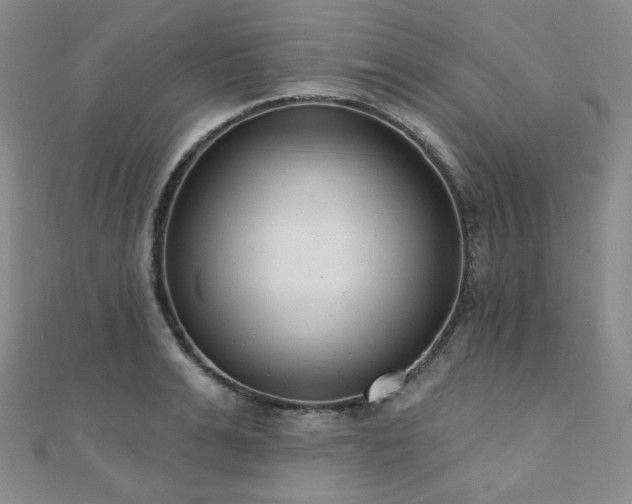 X0000110740991200906151100