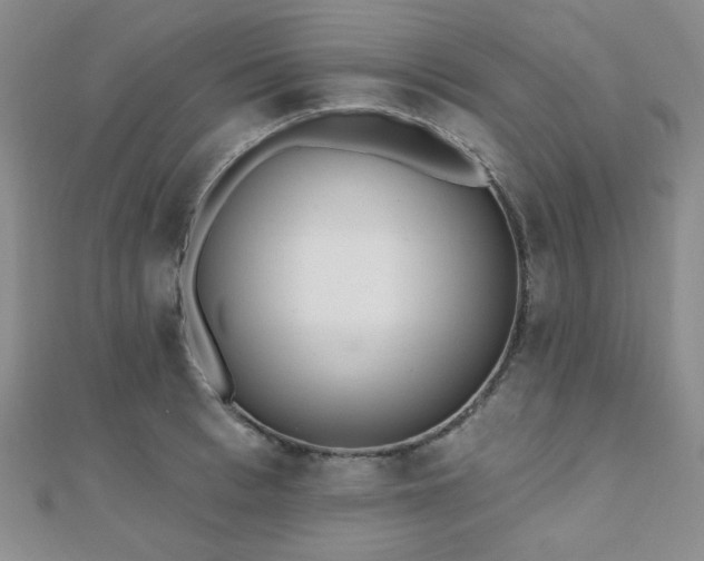 X0000110740993200906151100