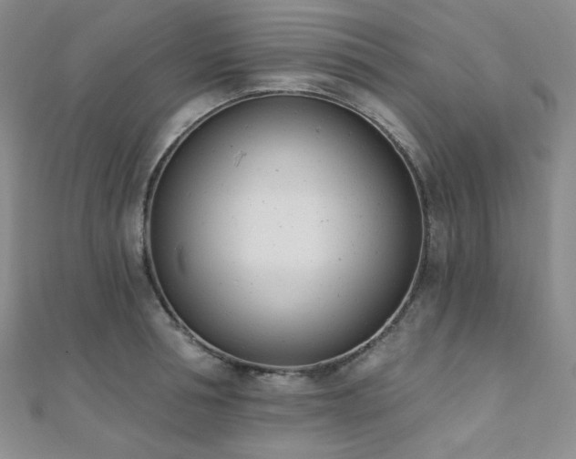 X0000110740994200906151100