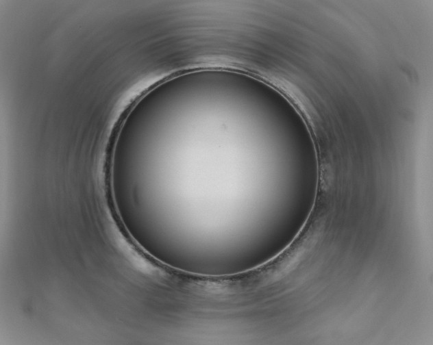 X0000110740995200906151100