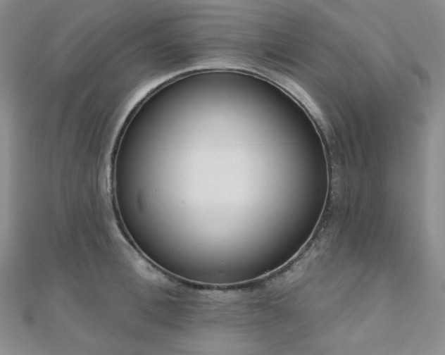 X0000110740996200906151100