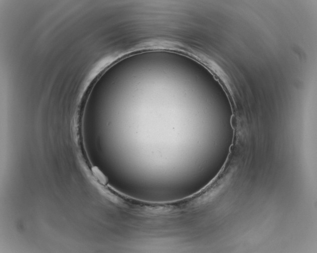 X0000110740997200906151100
