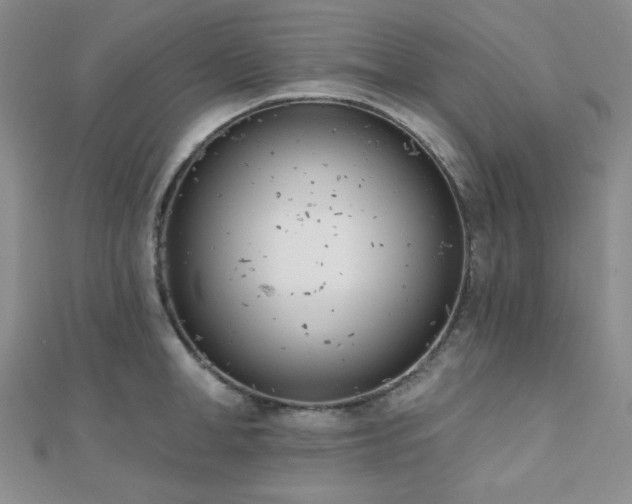 X0000110740998200906151100