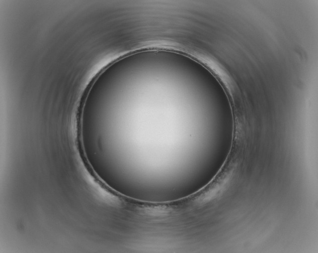 X0000110740999200906151100