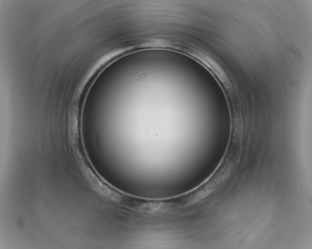 X0000110741000200906151100