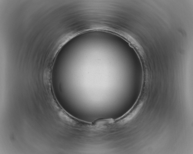 X0000110741001200906151100