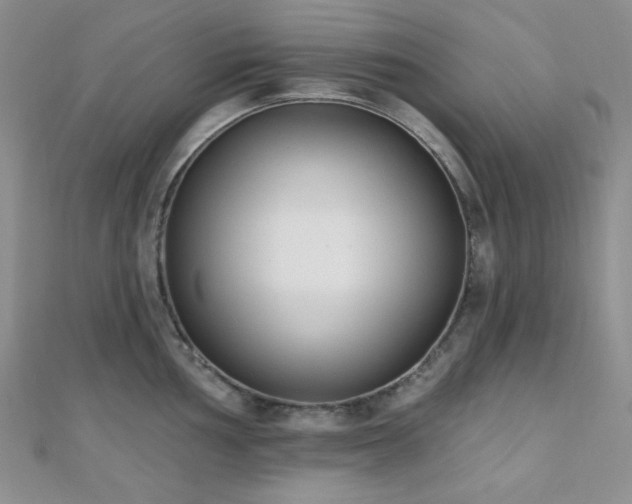X0000110741002200906151100