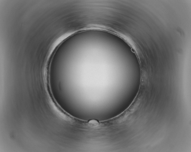 X0000110741003200906151100