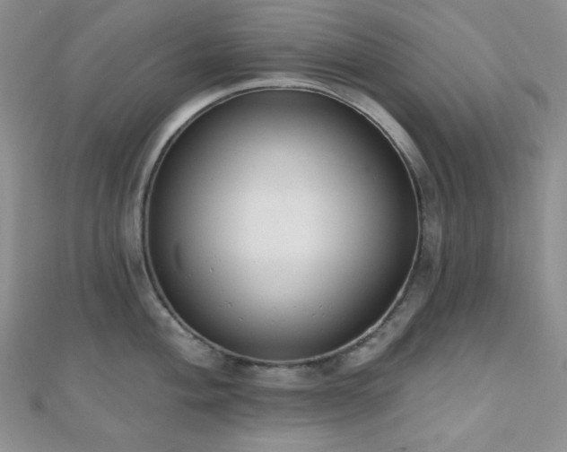 X0000110741004200906151100