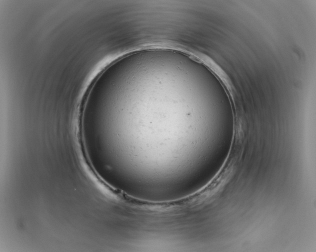 X0000110741005200906151100