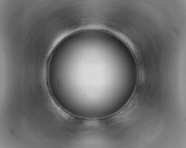 X0000110741006200906151059