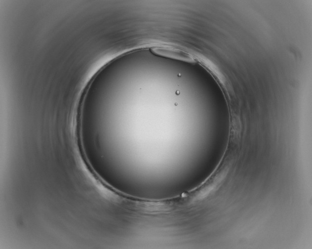X0000110741007200906151059