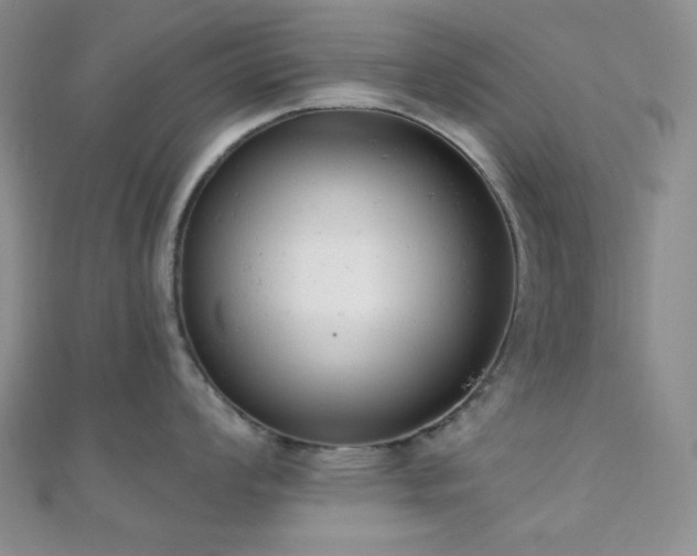 X0000110741008200906151059