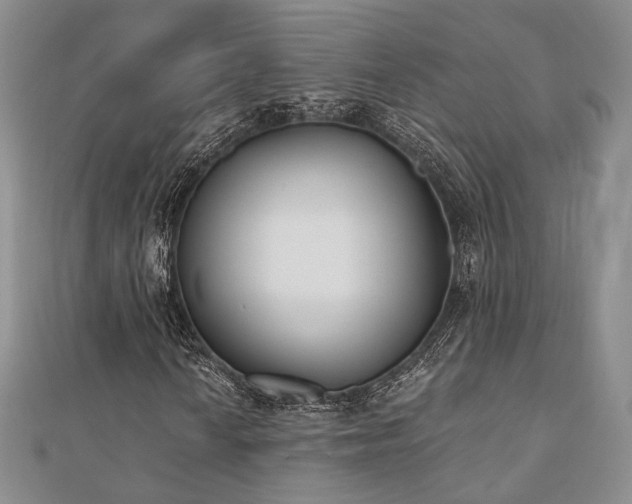 X0000110741010200906151059