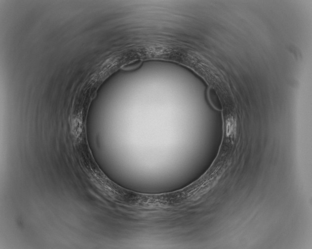 X0000110741011200906151059