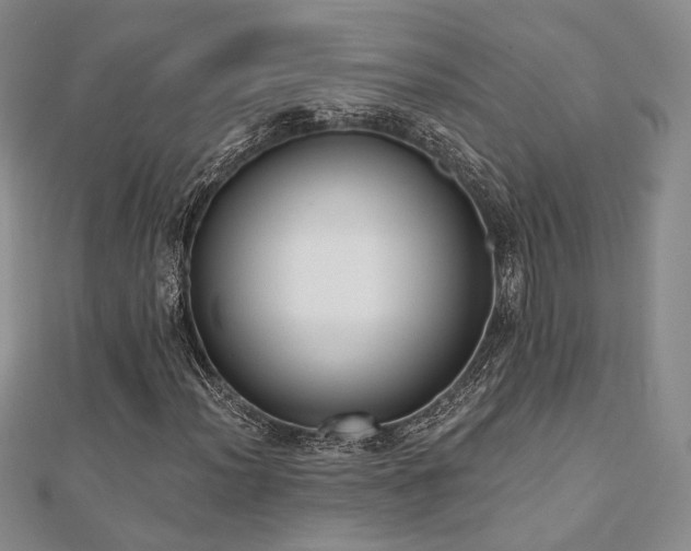 X0000110741012200906151059