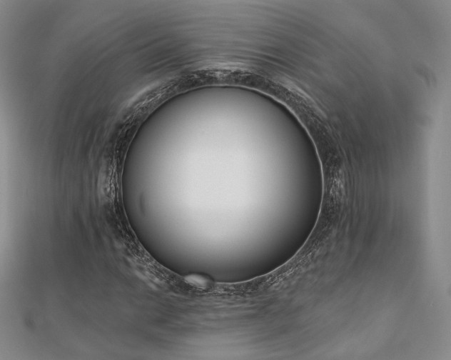 X0000110741014200906151059