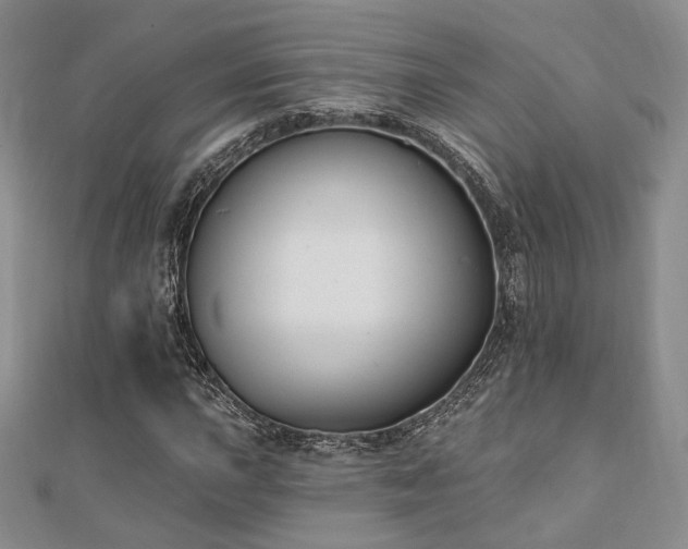 X0000110741015200906151059