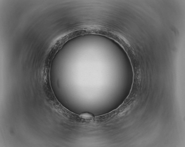 X0000110741016200906151059