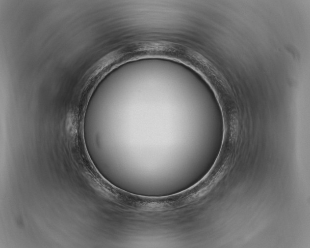 X0000110741017200906151059