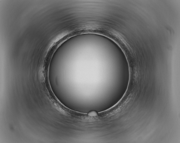 X0000110741018200906151059