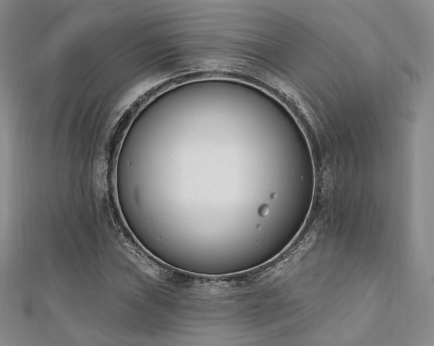 X0000110741019200906151059