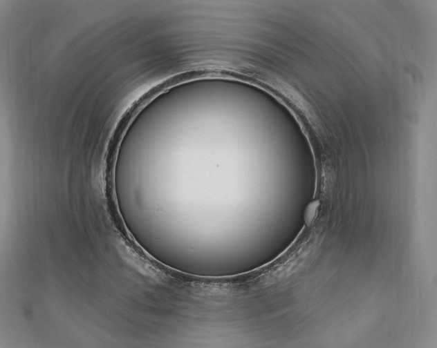 X0000110741020200906151059