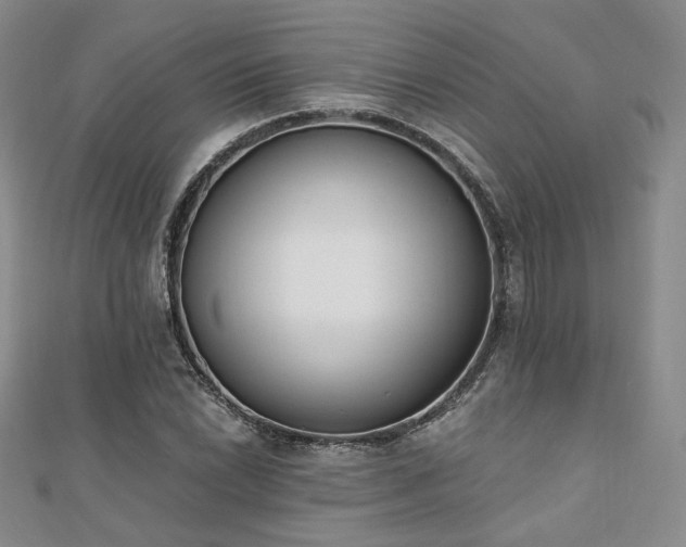 X0000110741022200906151059