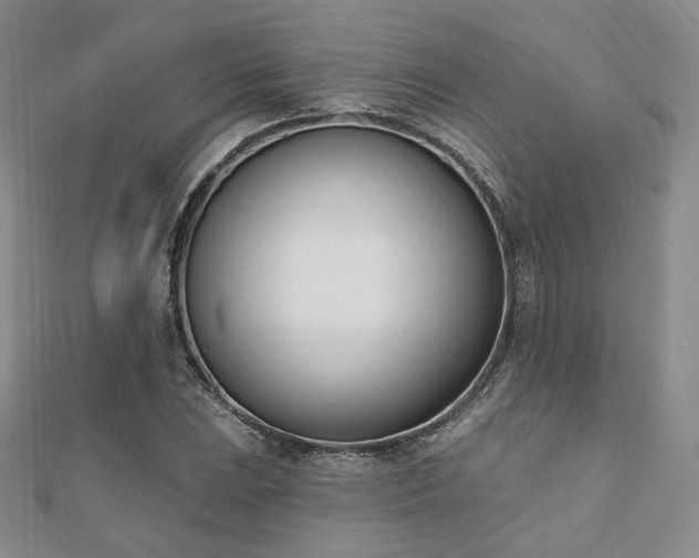 X0000110741023200906151059