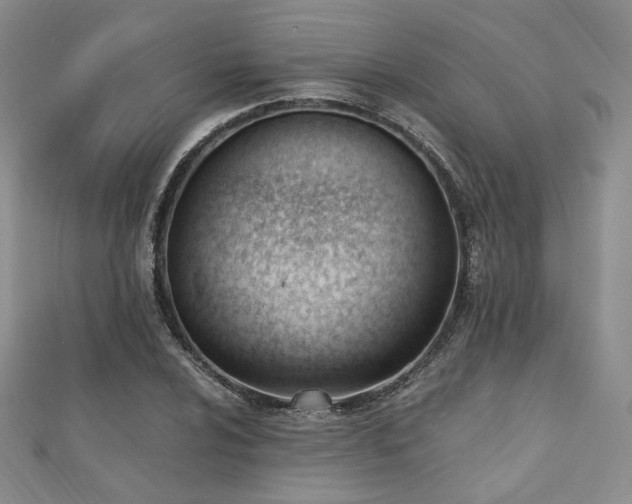 X0000110741024200906151059