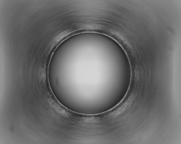 X0000110741025200906151059