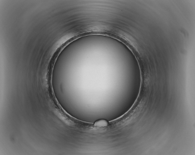 X0000110741026200906151059