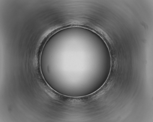 X0000110741027200906151059