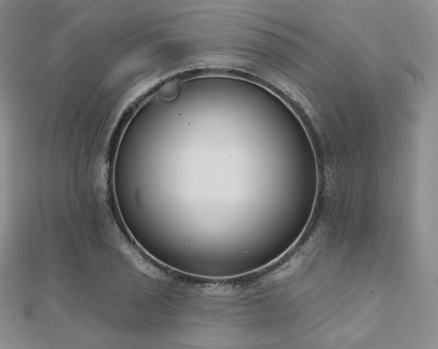 X0000110741029200906151059