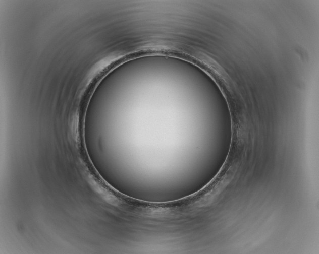 X0000110741030200906151059