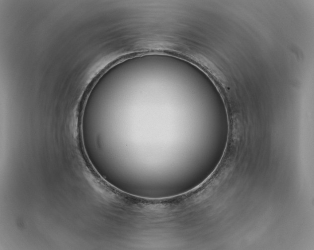 X0000110741031200906151059