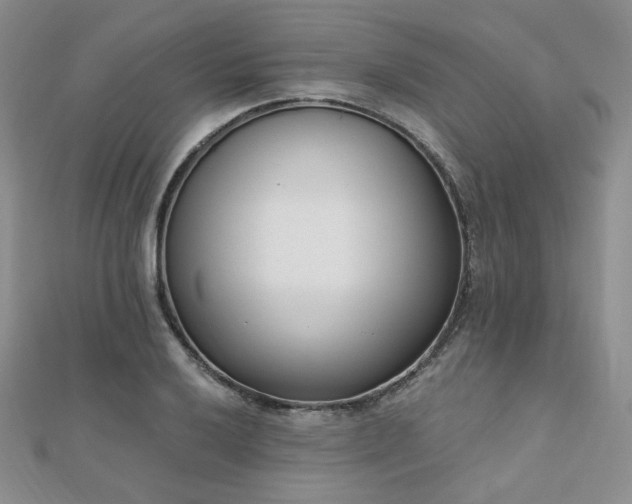 X0000110741032200906151059