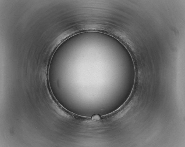 X0000110741033200906151059