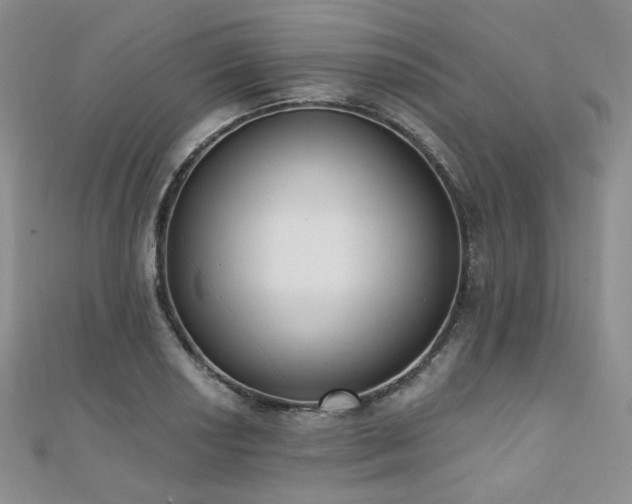 X0000110741034200906151059