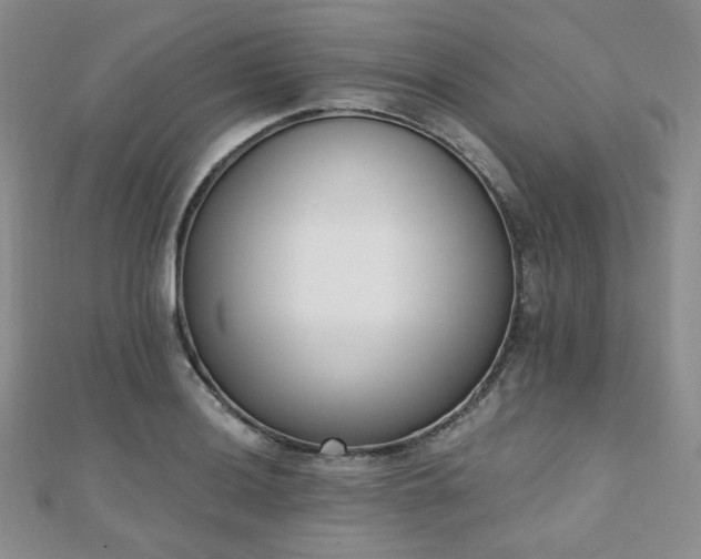 X0000110741036200906151059