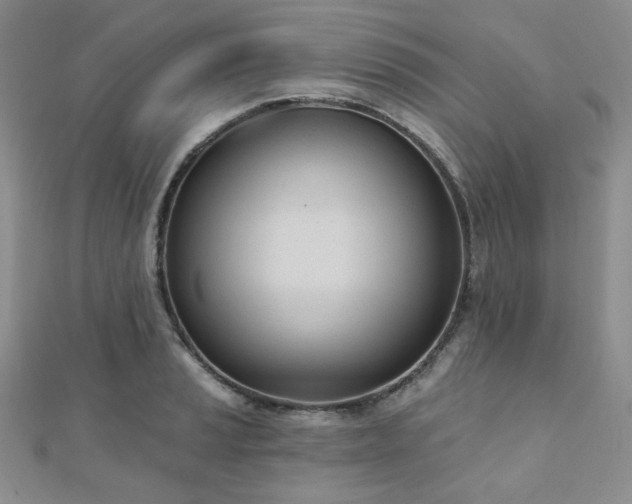 X0000110741037200906151059